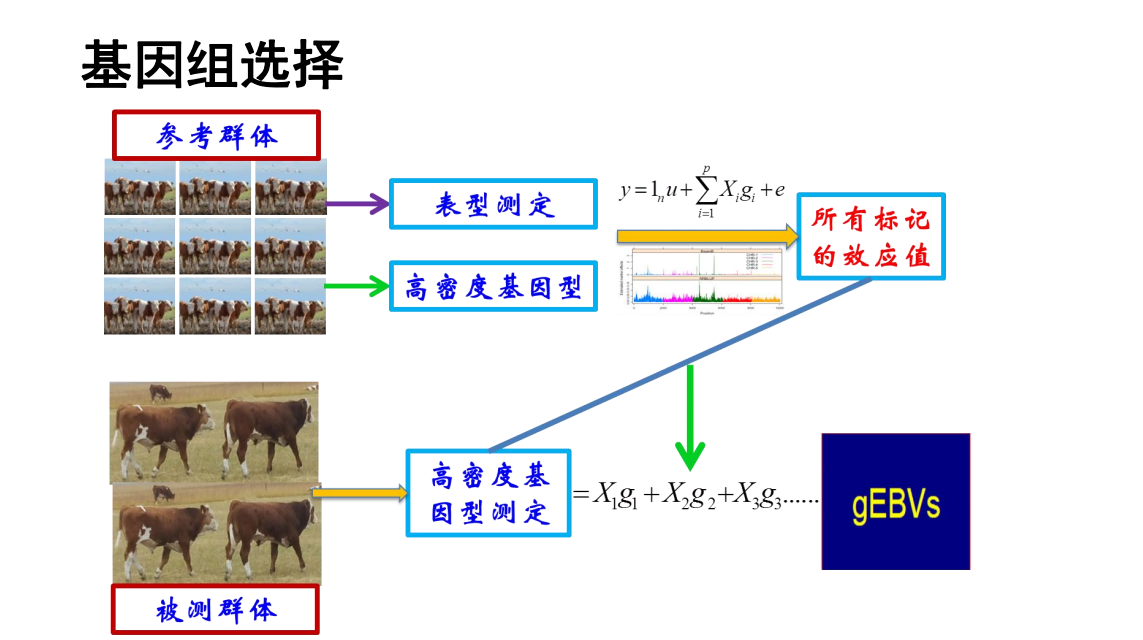 344e8eb5030738248a73a688bb1d725.png 344e8eb5030738248a73a688bb1d725.png