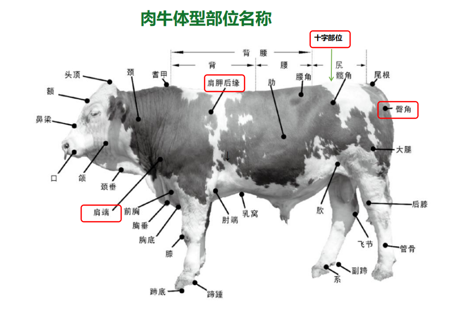 微信截图_20230529104648.png 微信截图_20230529104648.png